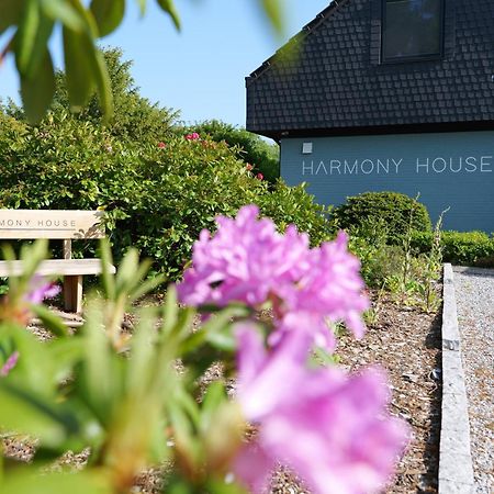 ホテル Harmony House ハンデヴィット エクステリア 写真