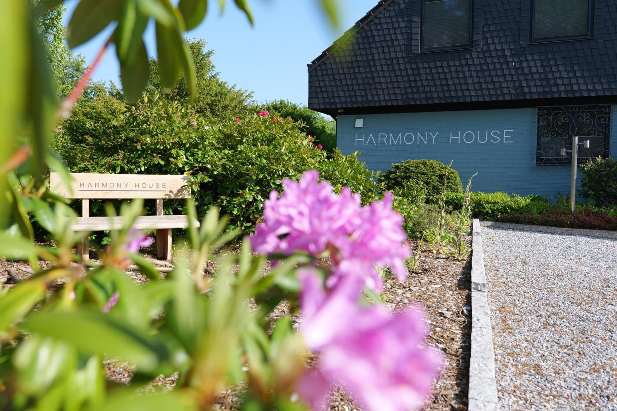 ホテル Harmony House ハンデヴィット エクステリア 写真